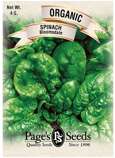 Spinach Bloomsdale
