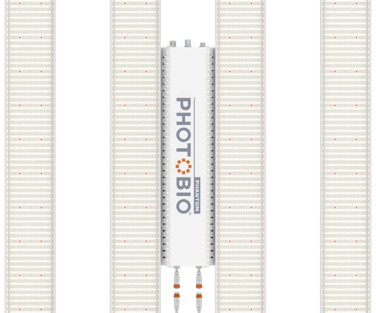 FOTOBIO MX 680W | (cable de 10' 110-120V) 