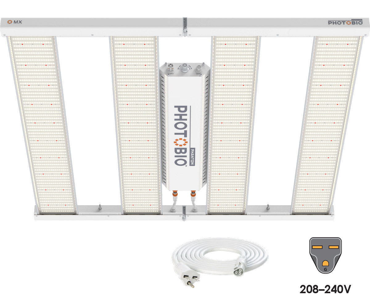 PHOTOBIO MX 680W | (10' 208-240V cord)