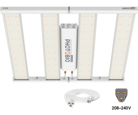 PHOTOBIO MX 680W | (10' 208-240V cord)