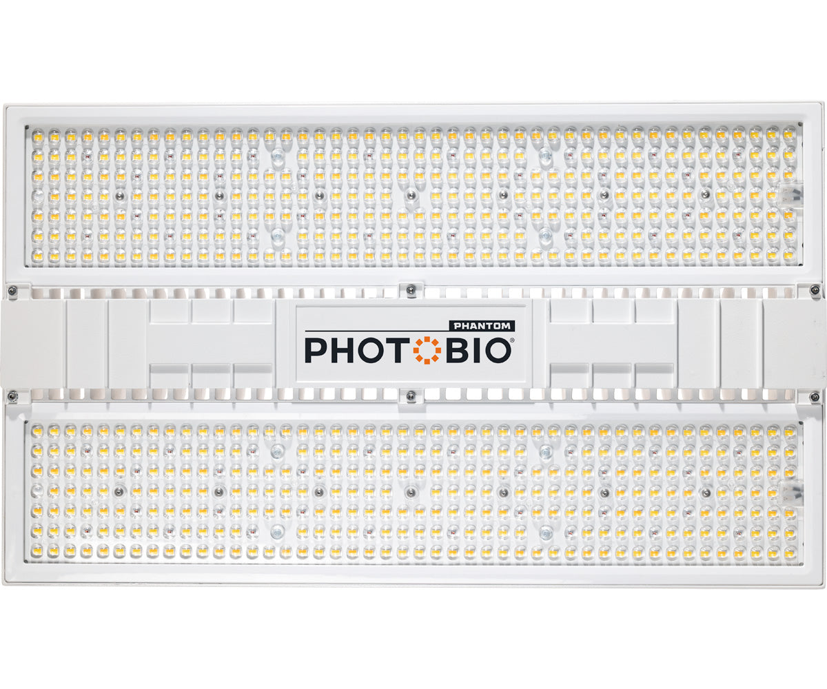 PHOTOBIO CX 2125 LED, 850W, 100-277V S4, (cable de 10' 120V) 