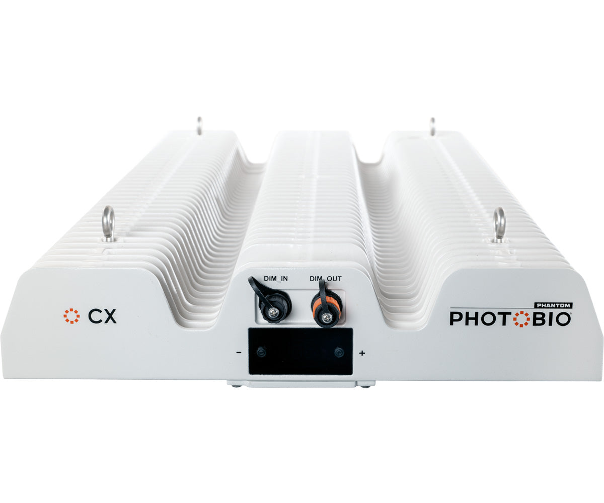 PHOTOBIO CX 2125 LED, 850W, 100-277V S4, (10' 120V Cord)