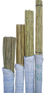 BWI Bamboo Stake - 10' Tall