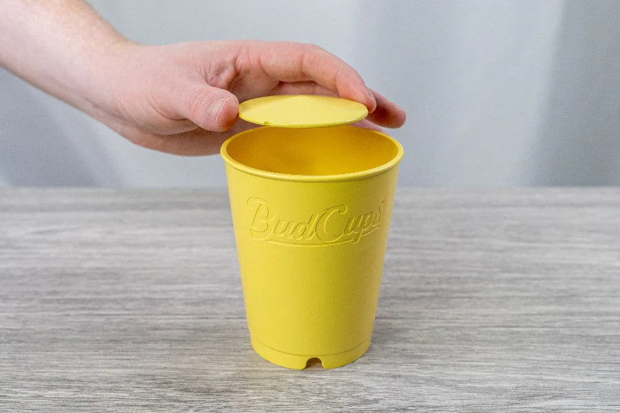 BudCups™: Self-Draining, Easy-Transplanting Gardening Containers