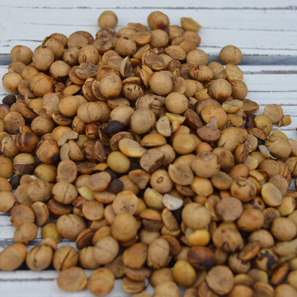 Reedy Fork Organic Soybeans Whole Roasted