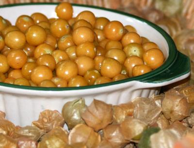 Cossack Pineapple Ground Cherry
