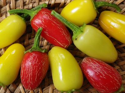 Jaloro Jalapeño Hot Pepper