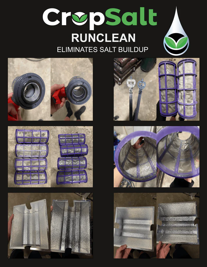 Sal de cultivo Runclean